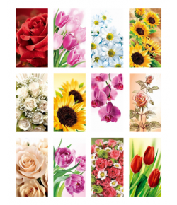 Zestaw 12 Karnecików bilecików przywieszek do prezentów z kopertą KK-N