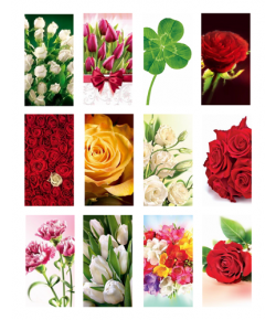 Zestaw mix 12 szt Karnecik bilecik do prezentu, kwiatów KK-C