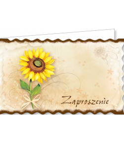 Zaproszenie uniwersalne zestaw 10 szt  ZA83