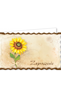 Zaproszenie uniwersalne zestaw 10 szt  ZA83