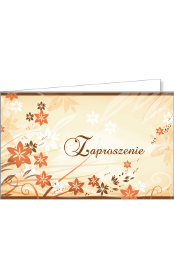Zaproszenie uniwersalne zestaw 10 szt  ZA82