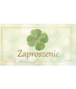 Zaproszenie uniwersalne na przyjęcie zestaw 10 sztZAB98