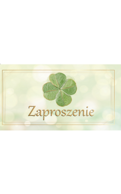 Zaproszenie uniwersalne na przyjęcie zestaw 10 sztZAB98