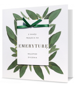 Elegancka, duża Kartka dla Emeryta Silver16