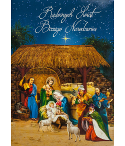 Przestrzenna Kartka z życzeniami Szopka NNP3
