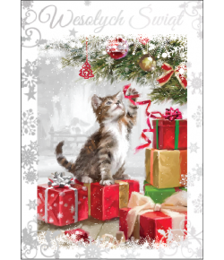 Kartka świąteczna z kotkiem  PP1840