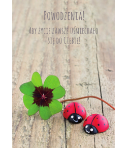 Kartka z życzeniami Powodzenia, Szczęścia TS39