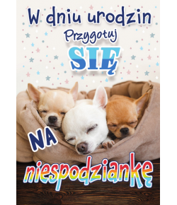 Piękna Kartka urodzinowa TS92