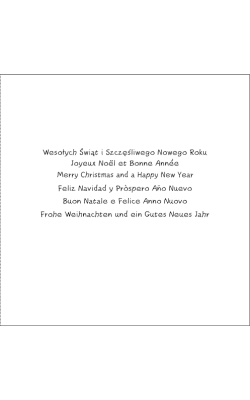 Kartka z życzeniami w kilku językach S-T 13