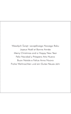 Kartka z życzeniami wielojęzycznymi S-T 27