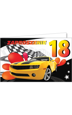 Zaproszenia na 18-tkę zestaw 10 szt  ZZ08