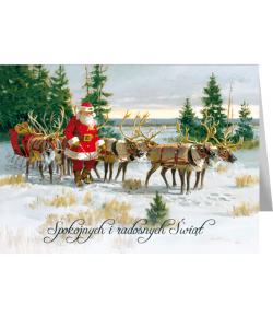 Kartka świąteczna vintage B-T 595