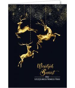 Firmowa Kartka świąteczna bez życzeń GD-BT 135