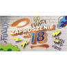 Na 18 urodziny zaproszenia komplet 10 szt ZAB130