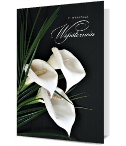 Kartka z Wyrazami Współczucia  PDB61889