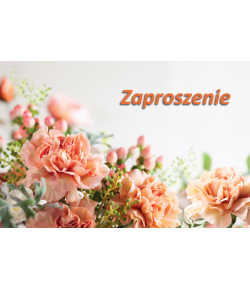 Zaproszenie na imprezę zestaw 10szt ZT48