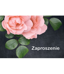 Zaproszenia uniwersalne, eleganckie 10szt ZT49