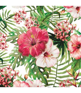 Kartki bez życzeń, puste eleganckie AF4