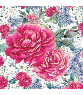 Kartki bez napisów, pusta z klasą AF5