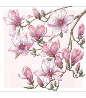 Kartki bez życzeń, eleganckie storczyki AF16