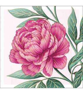 Kartka bez napisów z piękną piwonią AF17