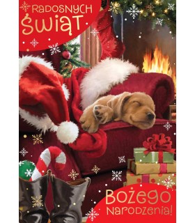 Kartka świąteczna z życzeniami, słodka PP2267