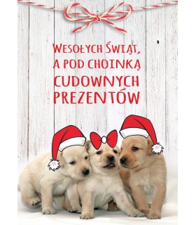 Kartka świąteczna z życzeniami, zabawna PP2106