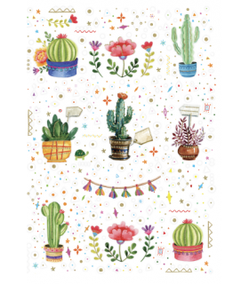 Kartka urodzinowa z życzeniami Kaktusy TS198