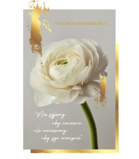 Wyrazy współczucia Kartka z pięknymi życzeniami PR550