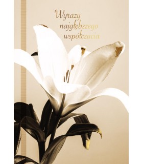 Wyrazy Współczucia Kondolencje Kartka PR547
