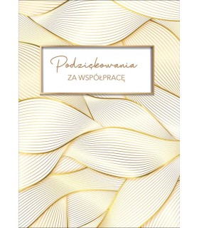 Duża Kartka z Podziękowaniami za współpracę XXL PQ161