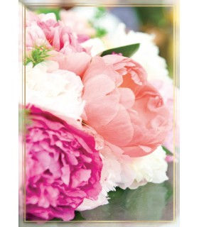 Kartka bez życzeń, napisów, z Piwoniami PP2145