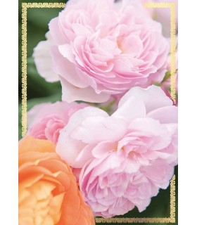 Kartka bez tekstu, życzeń, uniwersalna PP2147