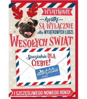 Kartka świąteczna zabawna, z kopertką na prezent DK1192