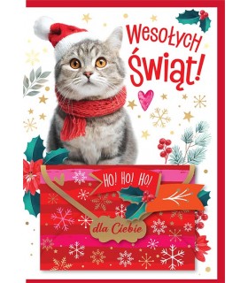 Kartka świąteczna z Kotkiem, z kopertką na prezent DK1193
