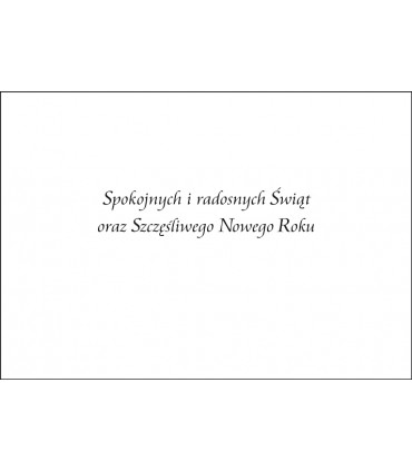 Kartka na Boże Narodzenie z życzeniami GD-T 150