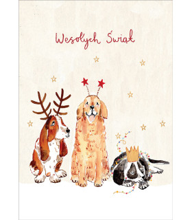 Kartka Świąteczna z humorem, artystyczna BNL35