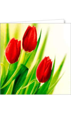 Kartka uniwersalna FF 1