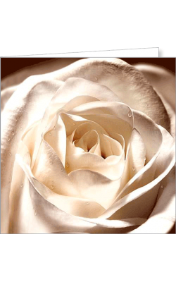 Kartka uniwersalna FF 3