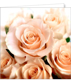 Kartka uniwersalna FF 9