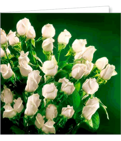 Kartka uniwersalna FF 13