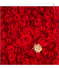 Kartka uniwersalna FF 15