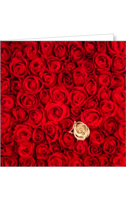 Kartka uniwersalna FF 15