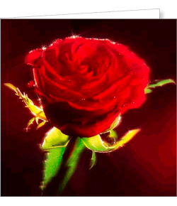 Kartka uniwersalna FF 17