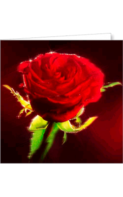 Kartka uniwersalna FF 17