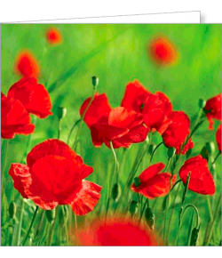 Kartka uniwersalna FF 32