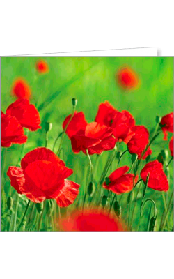 Kartka uniwersalna FF 32