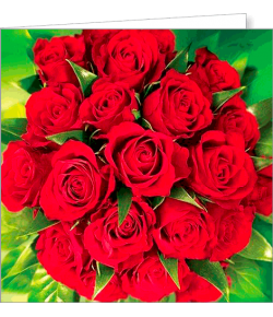 Kartka bez tekstu FF 37