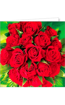 Kartka bez tekstu FF 37