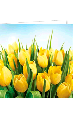 Kartka bez tekstu FF 40